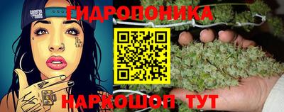 винт Михайловка